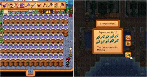 caviar stardew